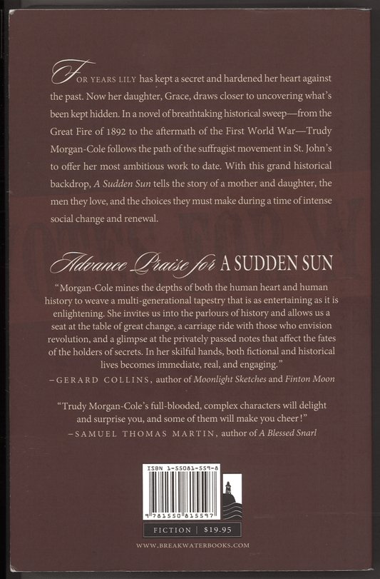 A Sudden Sun - The Bookstore