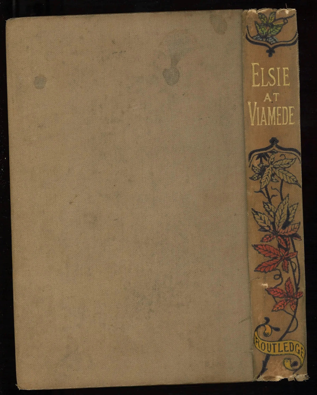 Elsie at Viamede (The Elsie Books, 18) - The Bookstore