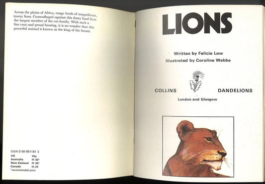 Lions by Felicia Law My Store