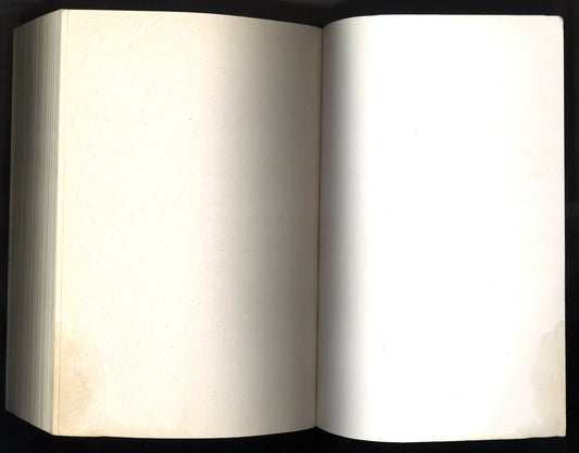 Prince Lestat: The Vampire Chronicles - The Bookstore