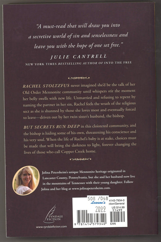 The Outcast: A Modern Retelling of The Scarlet Letter - The Bookstore