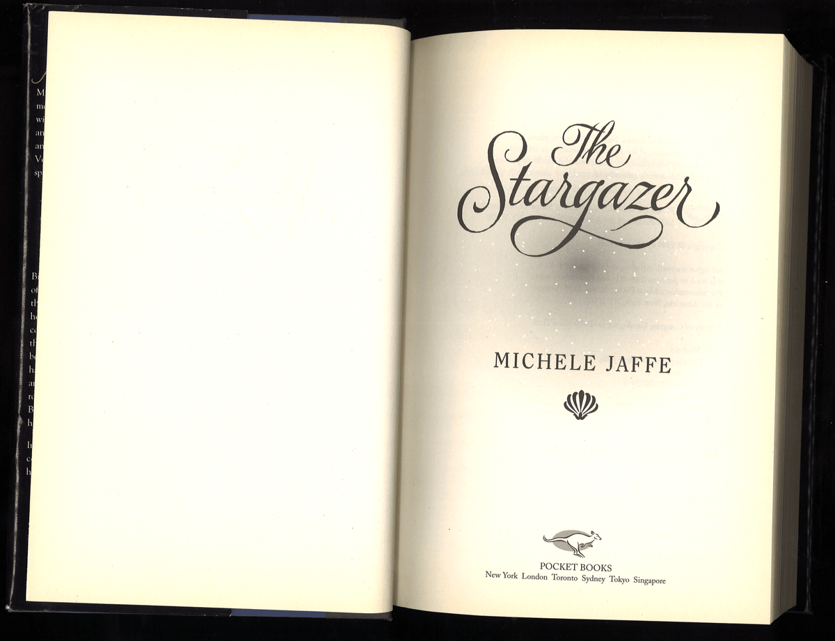 The Stargazer - The Bookstore