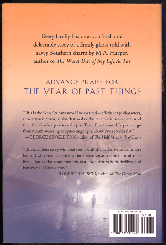 The Year of Past Things - The Bookstore