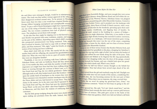 What Came Before He Shot Her (Lynley novel) - The Bookstore