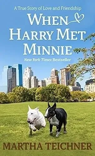When Harry Met Minnie My Store