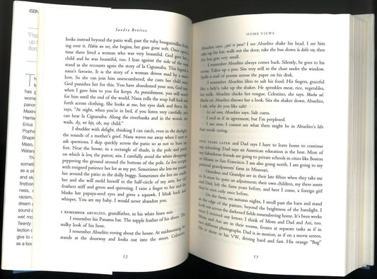 A Place Called Home: Twenty Writing Women Remember Mickey Pearlman