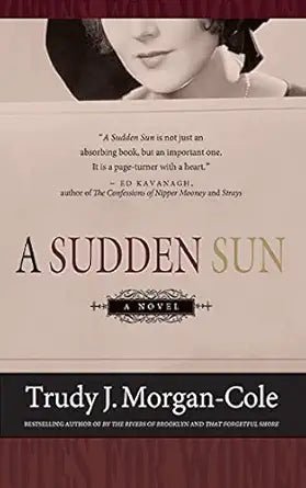 A Sudden Sun - The Bookstore