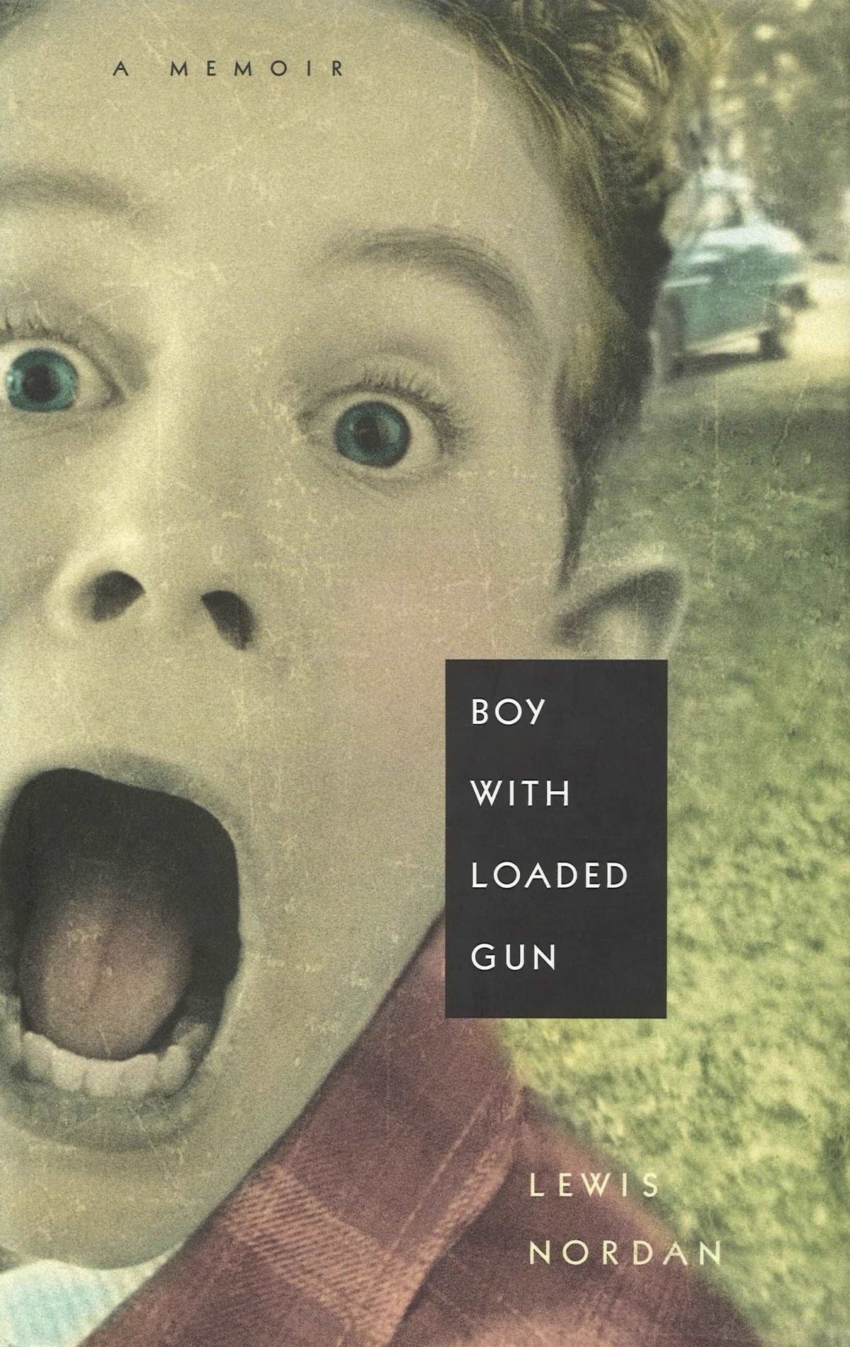 Boy With Loaded Gun by Lewis Nordan My Store