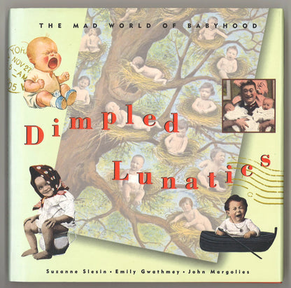 Dimpled Lunatics: The Mad World of Babyhood - The Bookstore