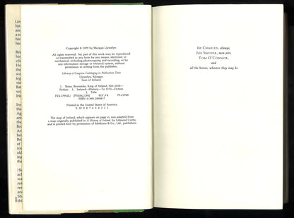 Lion Of Ireland: The Legend of Brian Boru - The Bookstore