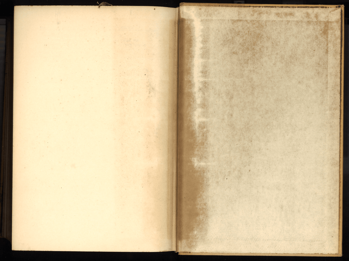 Mennonite Community Cookbook: Favorite Family Recipes - The Bookstore