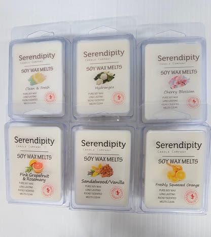 Serendipity Soy Wax Melts - The Bookstore