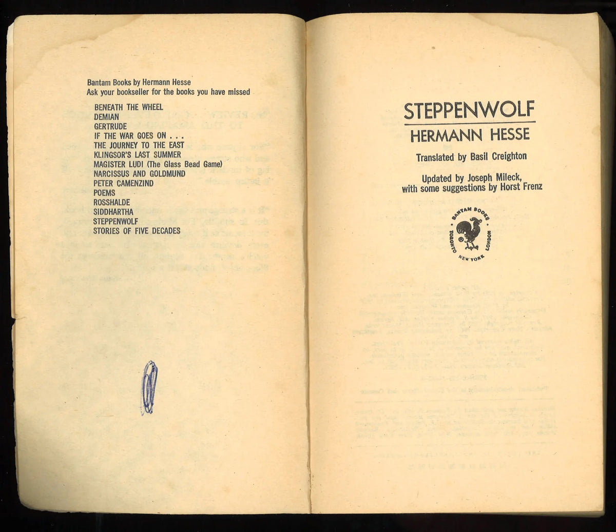 Steppenwolf - The Bookstore
