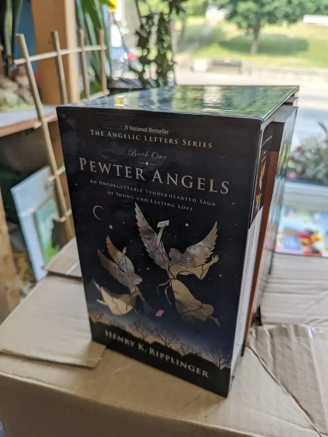 The Angelic Letters Series  5 Book Box Set, Henry K. Ripplinger My Store