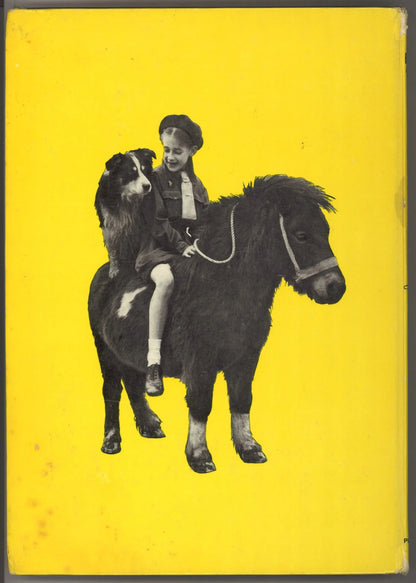 The Brownie Annual (1965) - The Bookstore