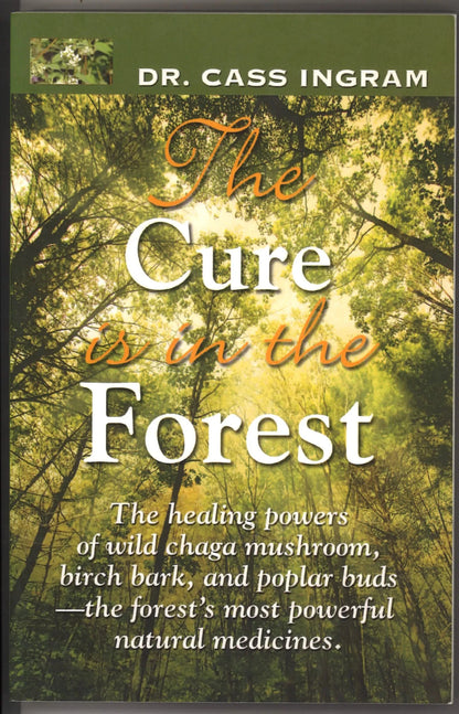 The Cure Is in the Forest: The Healing Powers of Wild Chaga Mushroom, Birch Bark, and Poplar Buds - The Forest's Most Powerfu