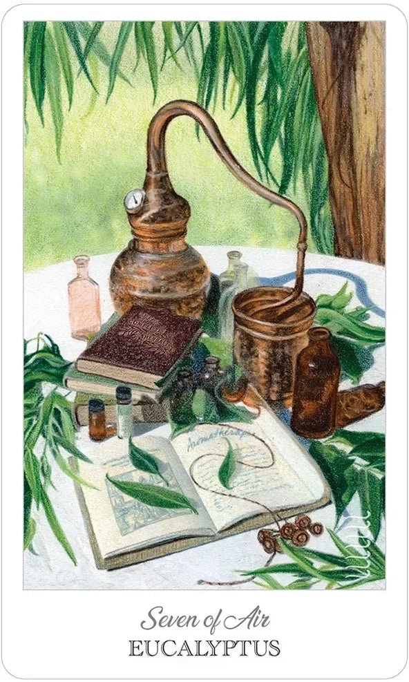 The Herbcrafter’s Tarot by Latisha Guthrie The Bookstore 1