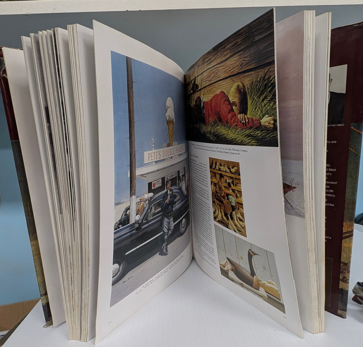 The Illustrator in America 1880 - 1980: A Century of Illustrations - The Bookstore