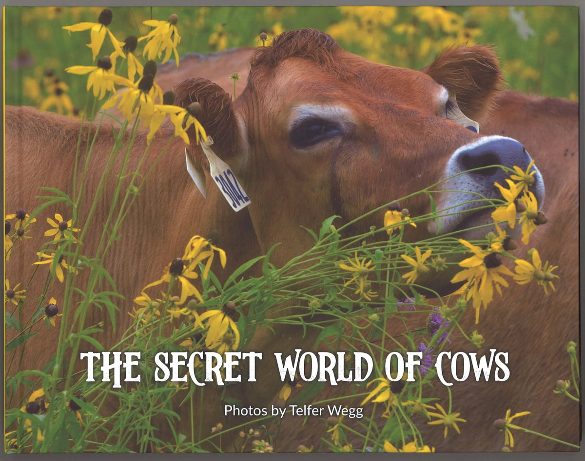 The Secret World of Cows - Signed & Numbered - The Bookstore