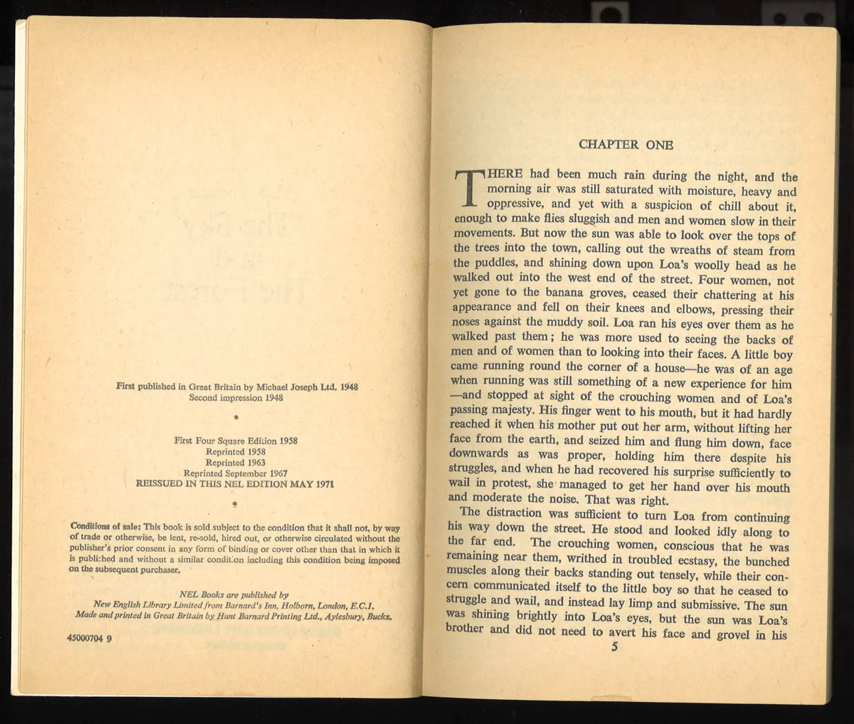 The Sky and The Forest (1971) - The Bookstore