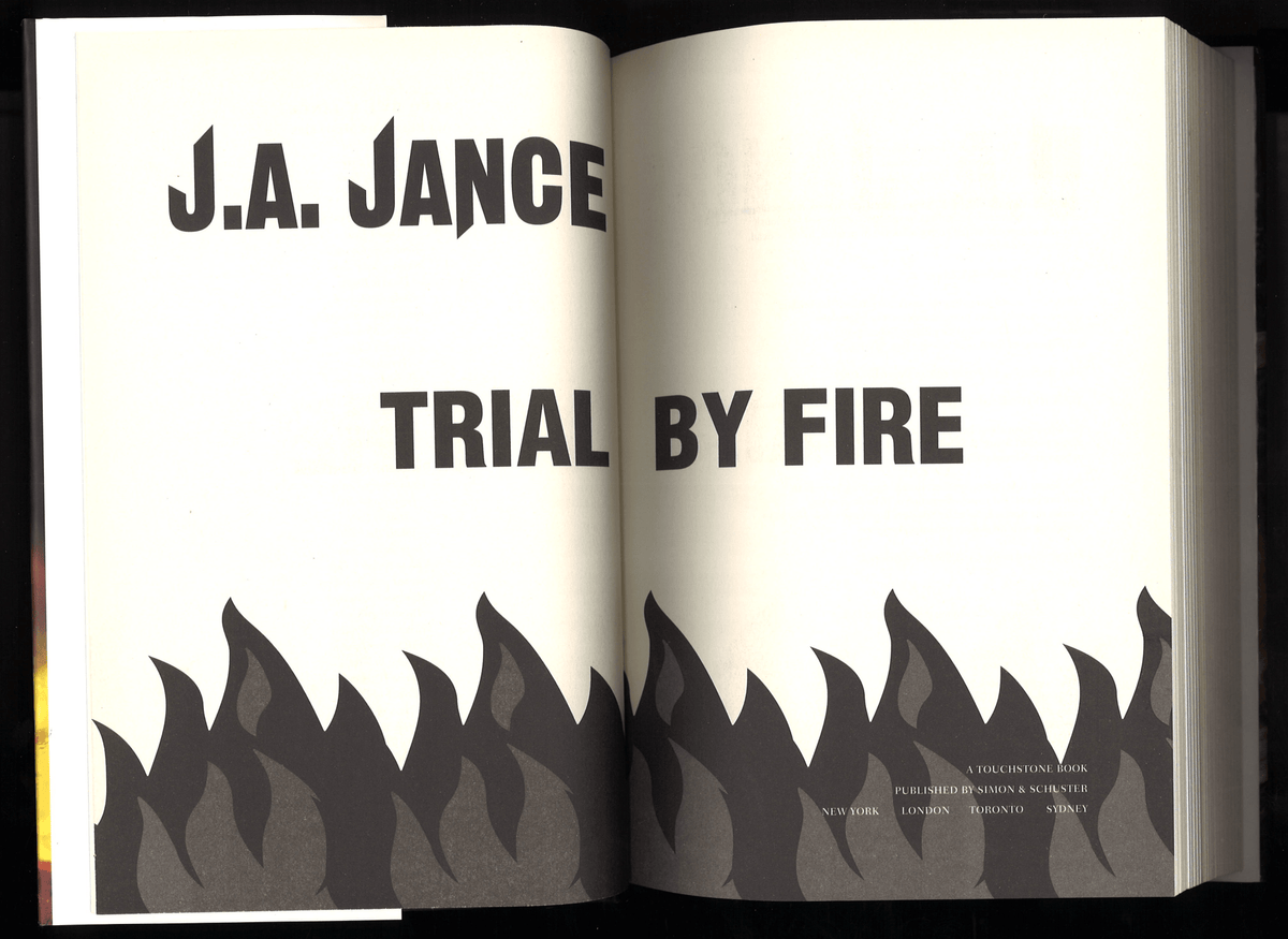 Trial by Fire: A Novel of Suspense - The Bookstore